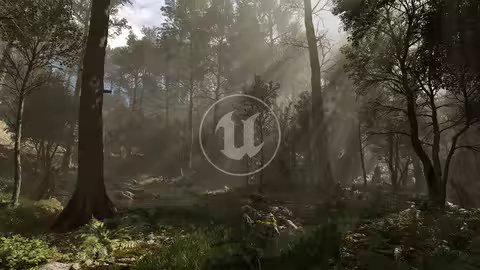 Megascans Scene – Black Alder Forest