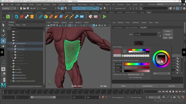 The Gnomon Workshop – Introduction to Ziva VFX: Volume 1  第1张