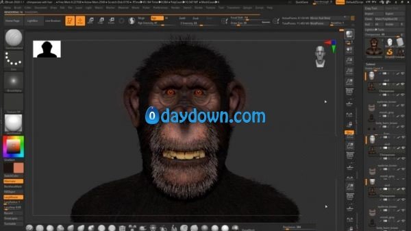 Create a Realistic Chimpanzee in Zbrush  第1张