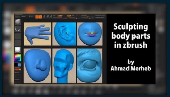 Skillshare – Sculpting Body Parts in Zbrush For Animation Ahamd Merheb  第1张