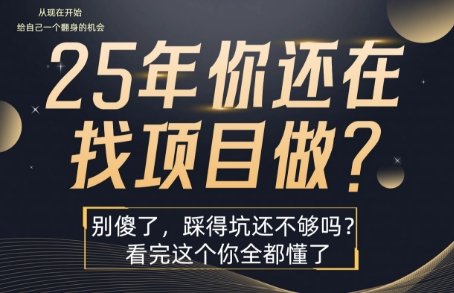 25年，你还在疯狂的找项目吗？别傻了，看完这个你都懂了【揭秘】  第1张