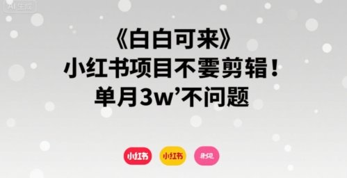 小白可来 小红书项目不需要剪辑 单月3w不是问题  第1张
